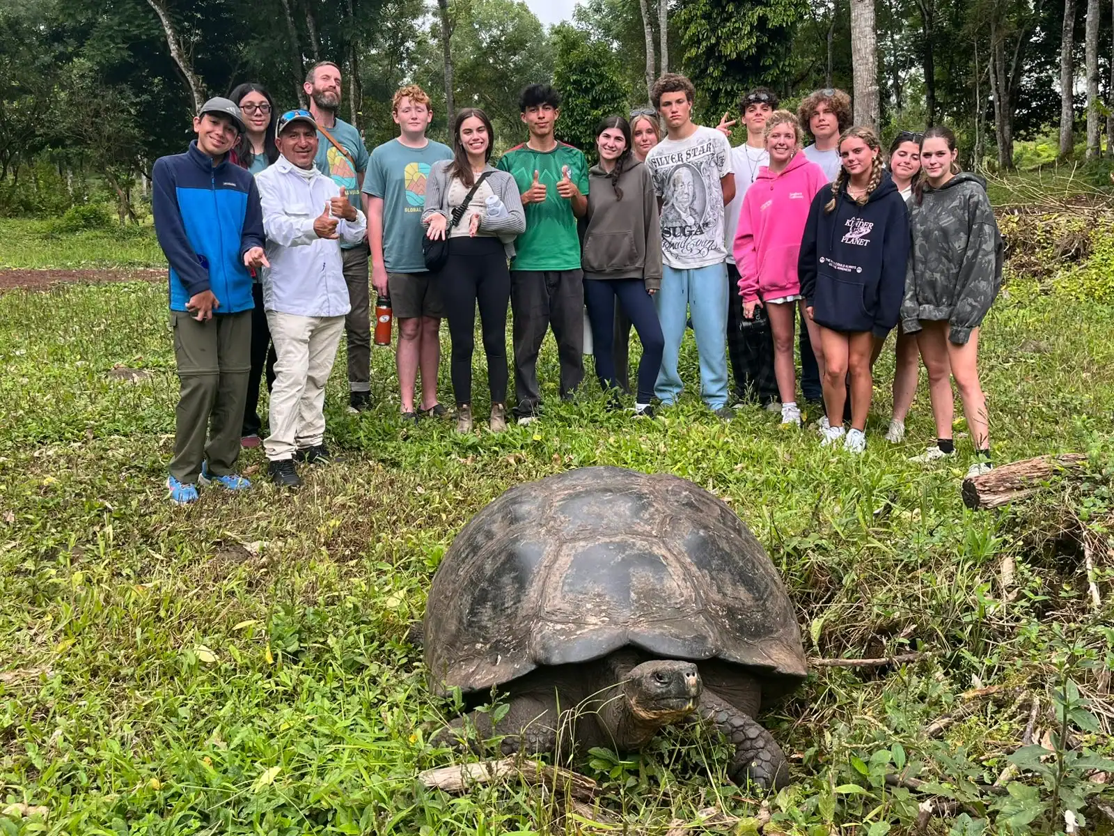 A group of people from a teen travel program stands outdoors on grass behind a large tortoise in a forested area.
