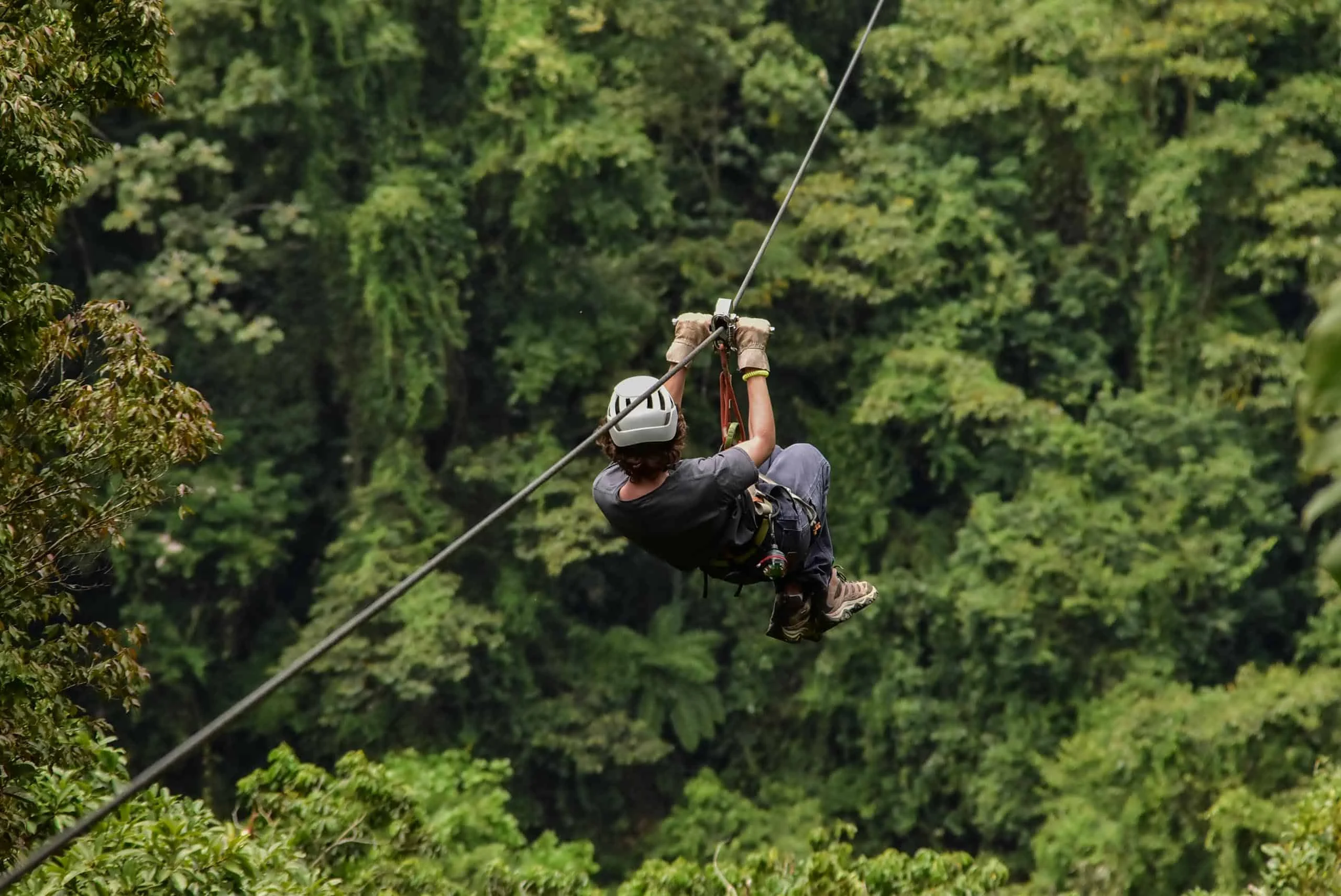 A person wearing safety gear rides a zipline over a dense, green forest during a student travel program by Global Works.