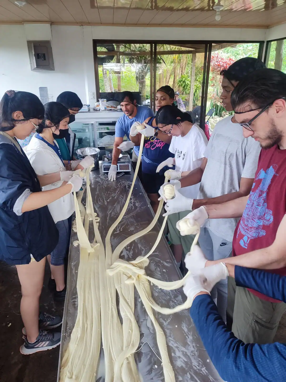 A group of people wearing gloves work together to stretch long strands of dough on a large table in a bright indoor space as part of an environmental school travel program.
