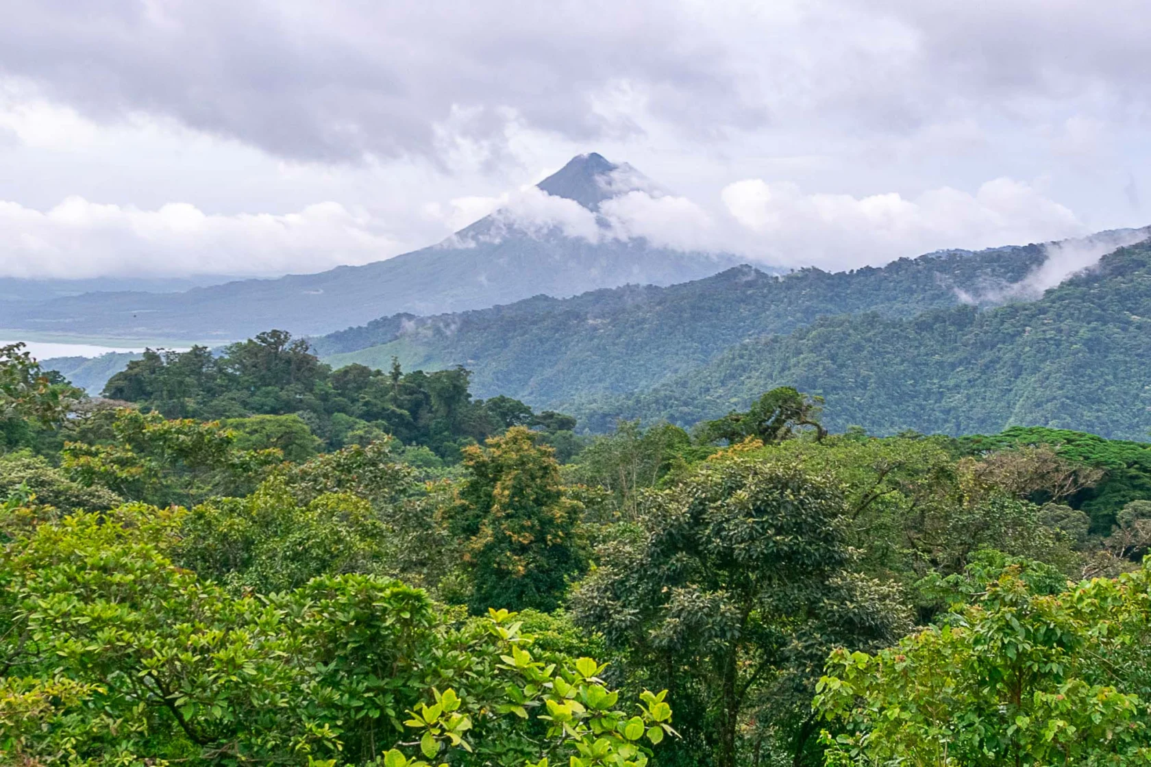 Mountain peak surrounded by mist, overlooking a dense forest with lush greenery under a cloudy sky.