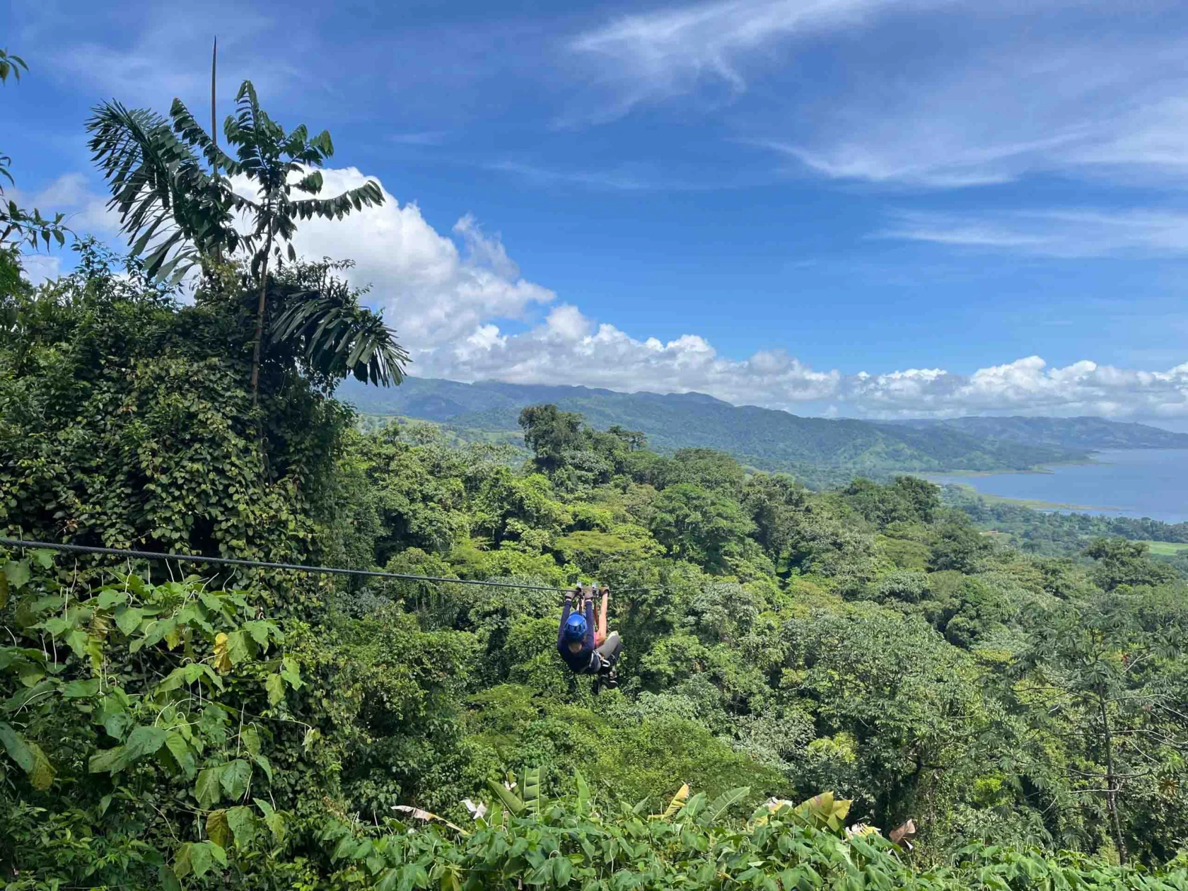 Person ziplining over a lush green rainforest with a view of distant mountains and a lake under a clear blue sky.