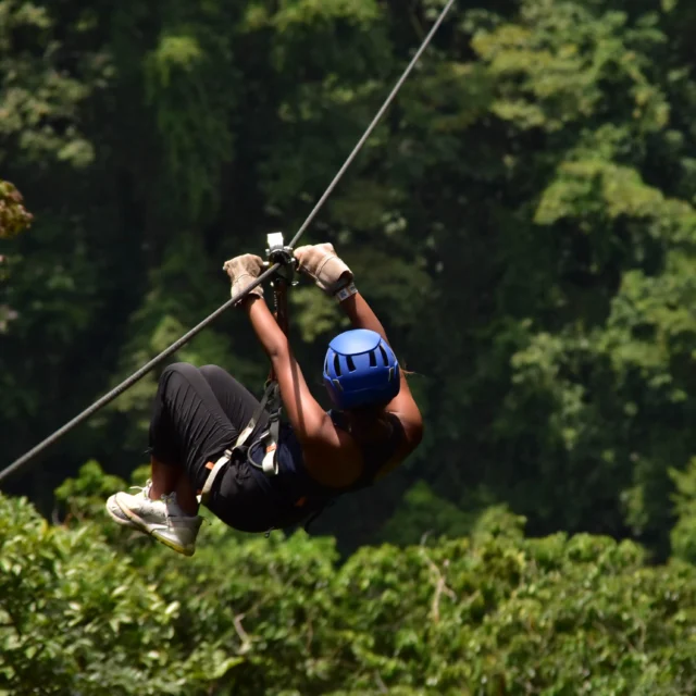 Person zip-lining through a lush green forest, wearing a blue helmet, gloves, and casual clothing.
