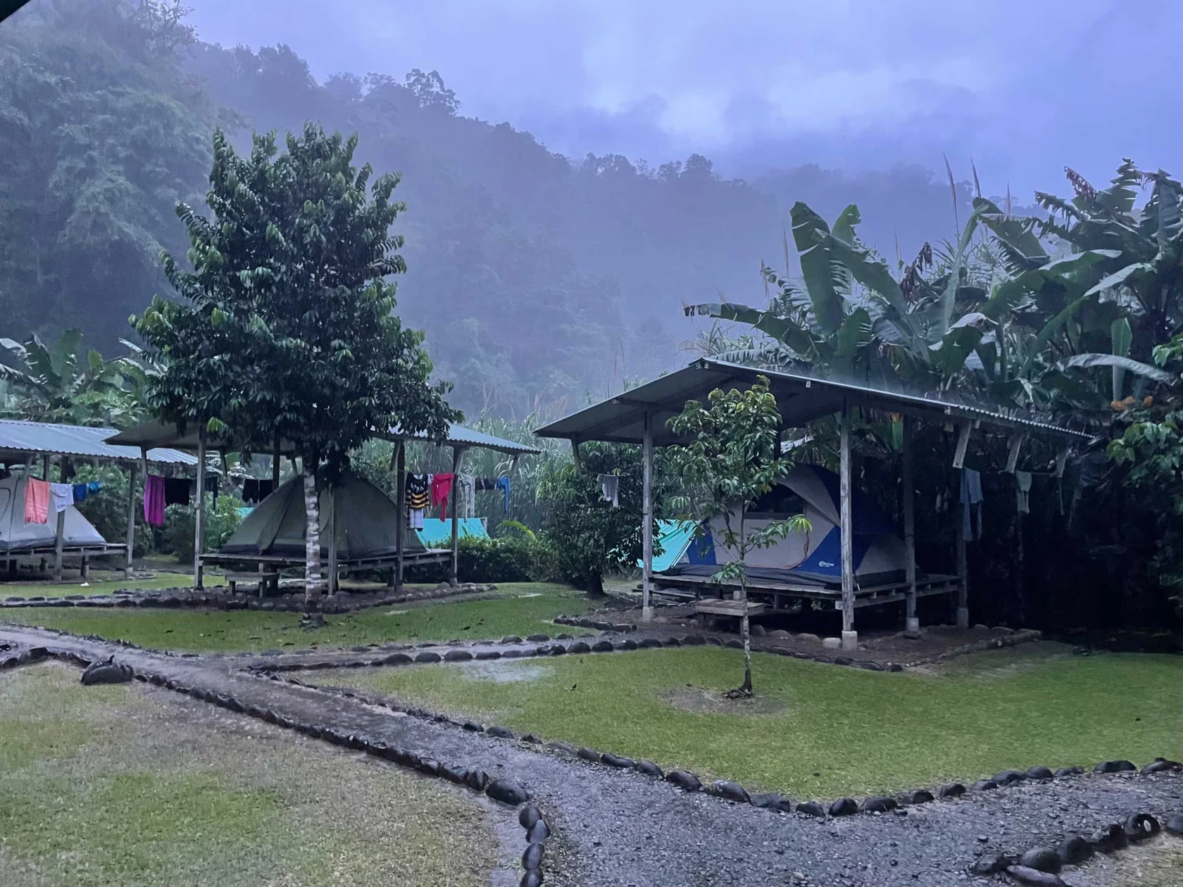 Tents set up on platforms in a misty, forested campground with gravel paths and trees.