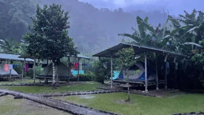 Tents set up on platforms in a misty, forested campground with gravel paths and trees.