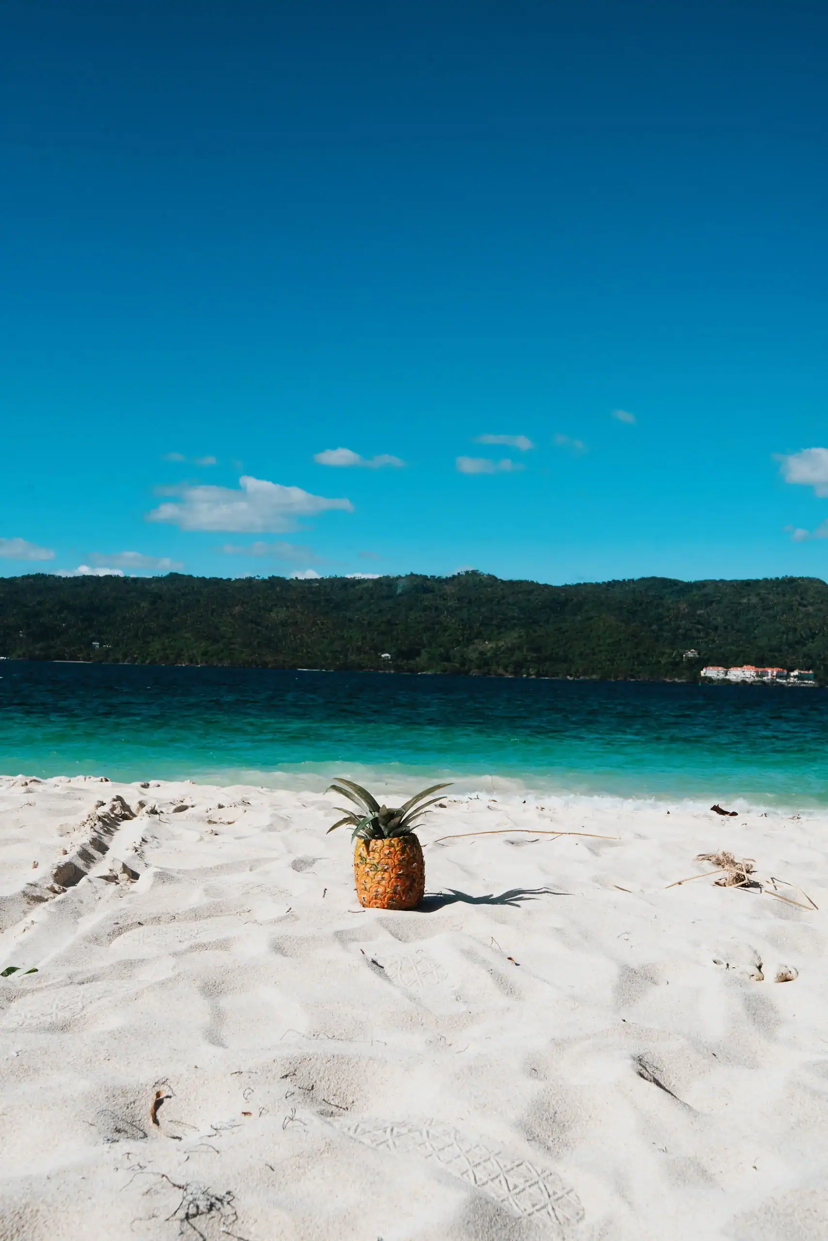 A pineapple sits upright on white sand with the ocean and a forested shoreline in the background under a clear blue sky, capturing the tropical vibe of an ideal pre med travel program destination.