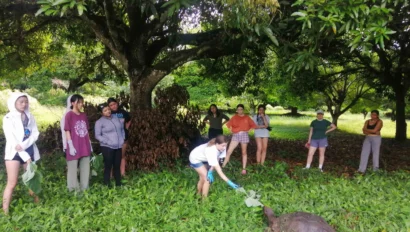A group of people stand around a large tortoise in a grassy area under a tree, with one person feeding it leaves.