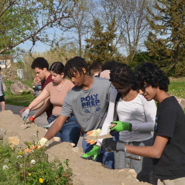 A group of people working together to build a stone wall outdoors on a sunny day.