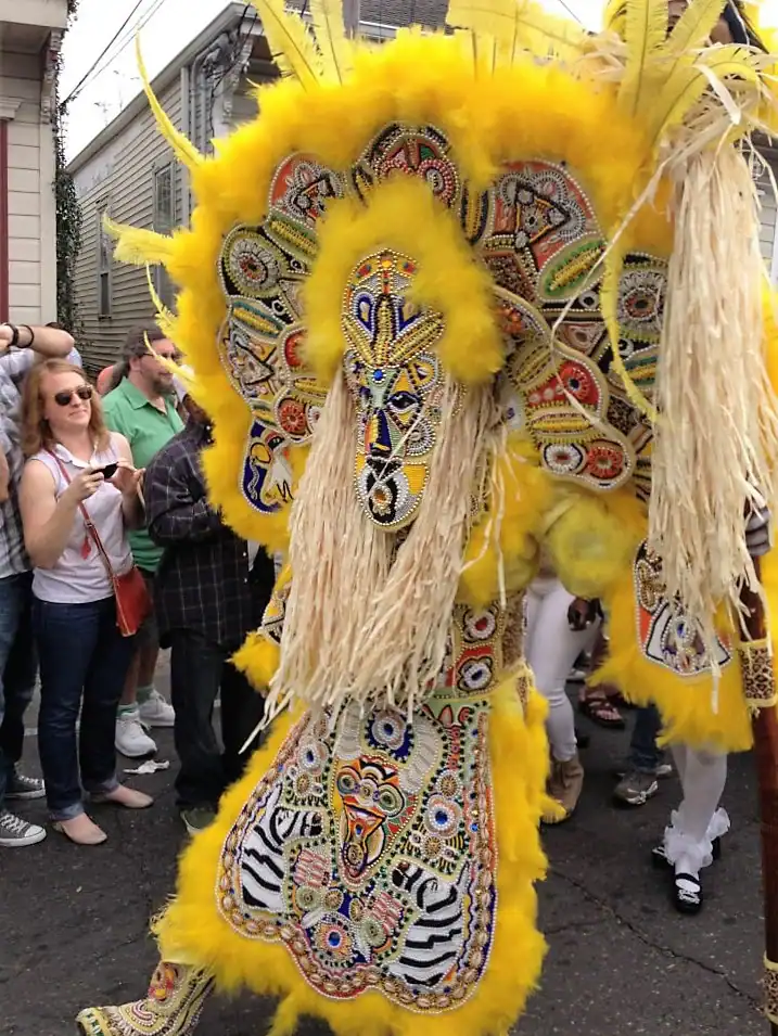 Person in a colorful, ornate costume with feathers and beads stands on a street, surrounded by onlookers.