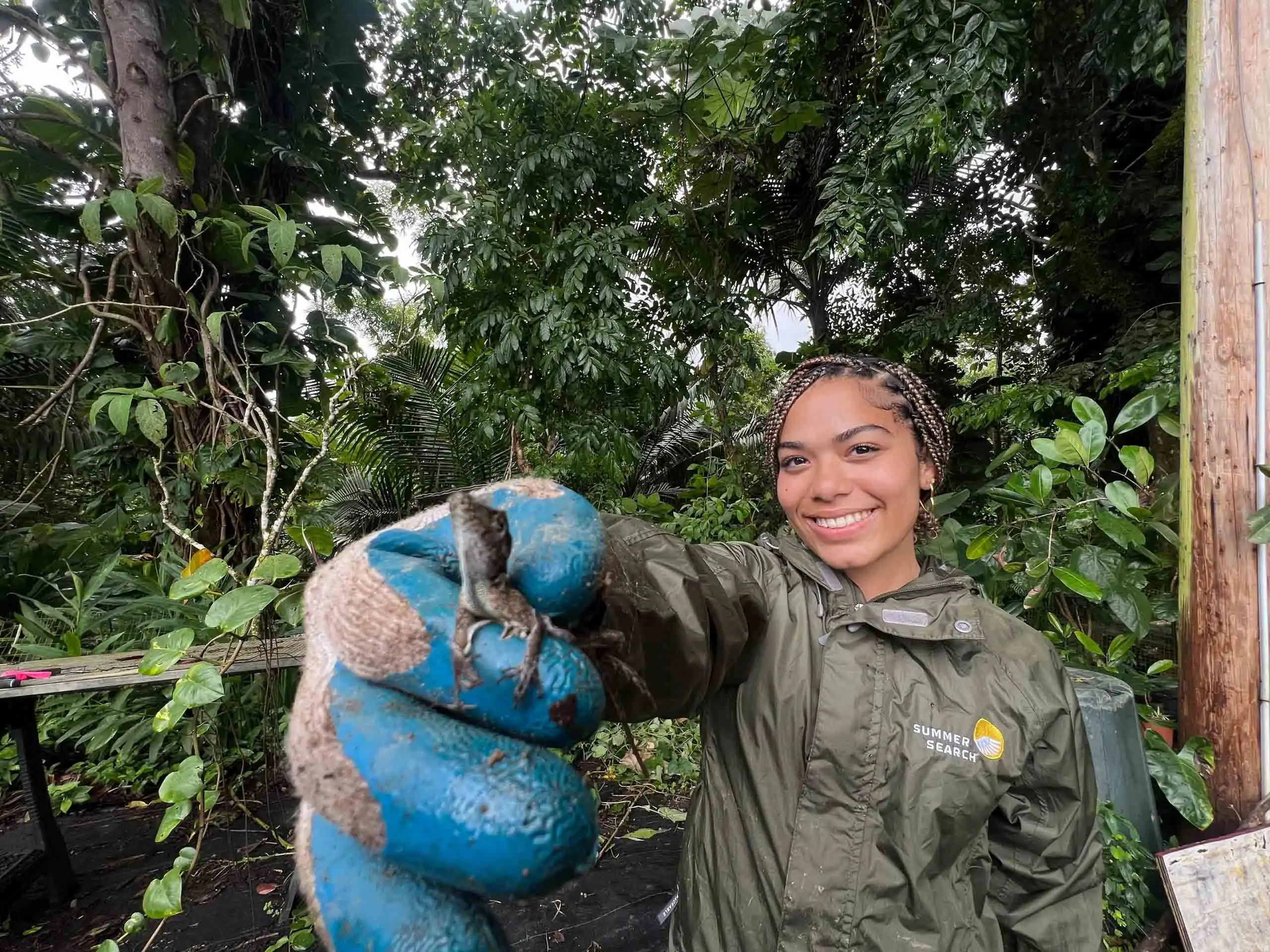 A participant on a teen service trip to Puerto Rico in a green jacket and blue gloves holds up a small lizard in a lush, tropical forest setting.