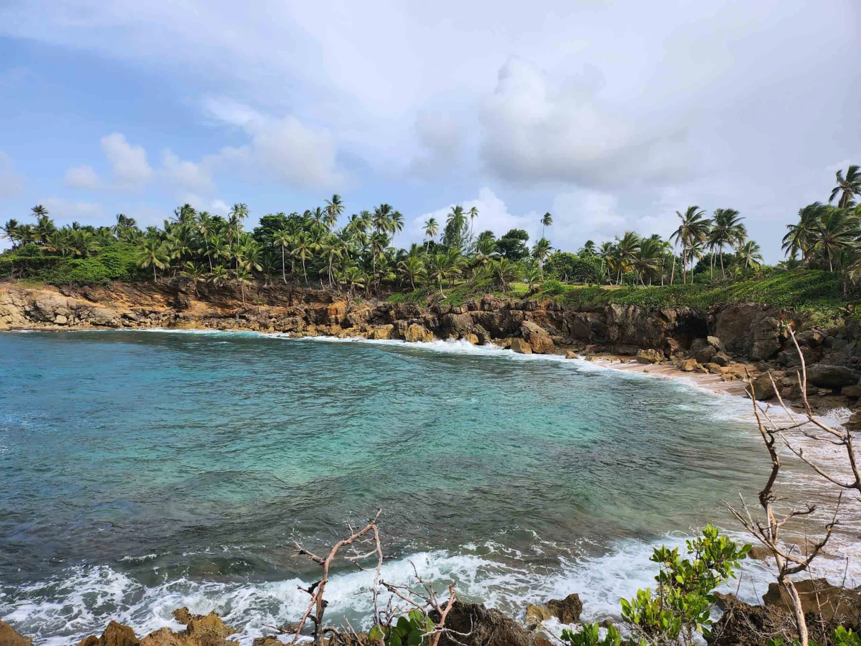 A rocky beach with lush palm trees and clear blue water under a partly cloudy sky.