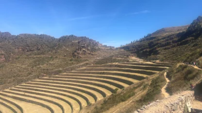 Terraced agricultural fields on a hillside under a clear blue sky, with mountains in the background and a dirt path on the right.