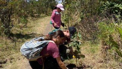 Three people planting a small tree in a grassy area on a sunny day, surrounded by bushes and trees.