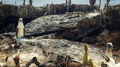Galapagos Marine Biology Trip