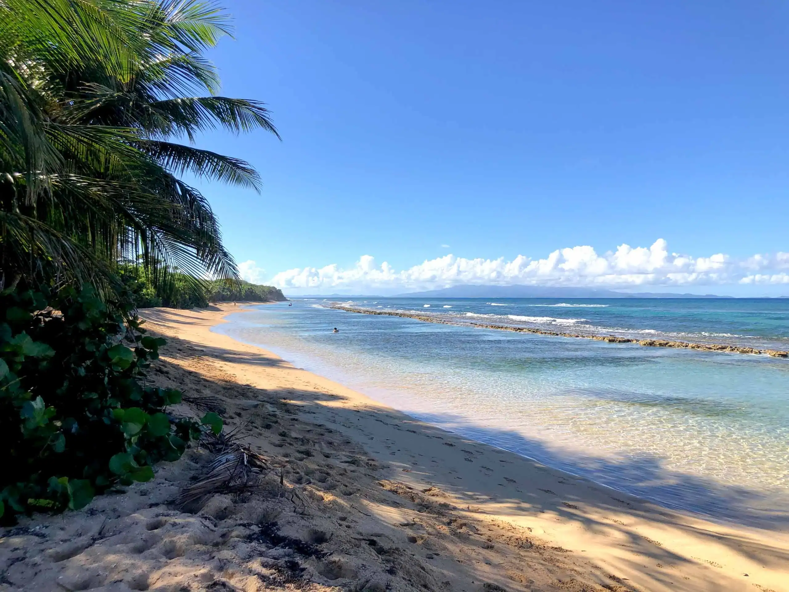 A sandy beach with clear blue water, gentle waves, and palm trees under a clear sky.
