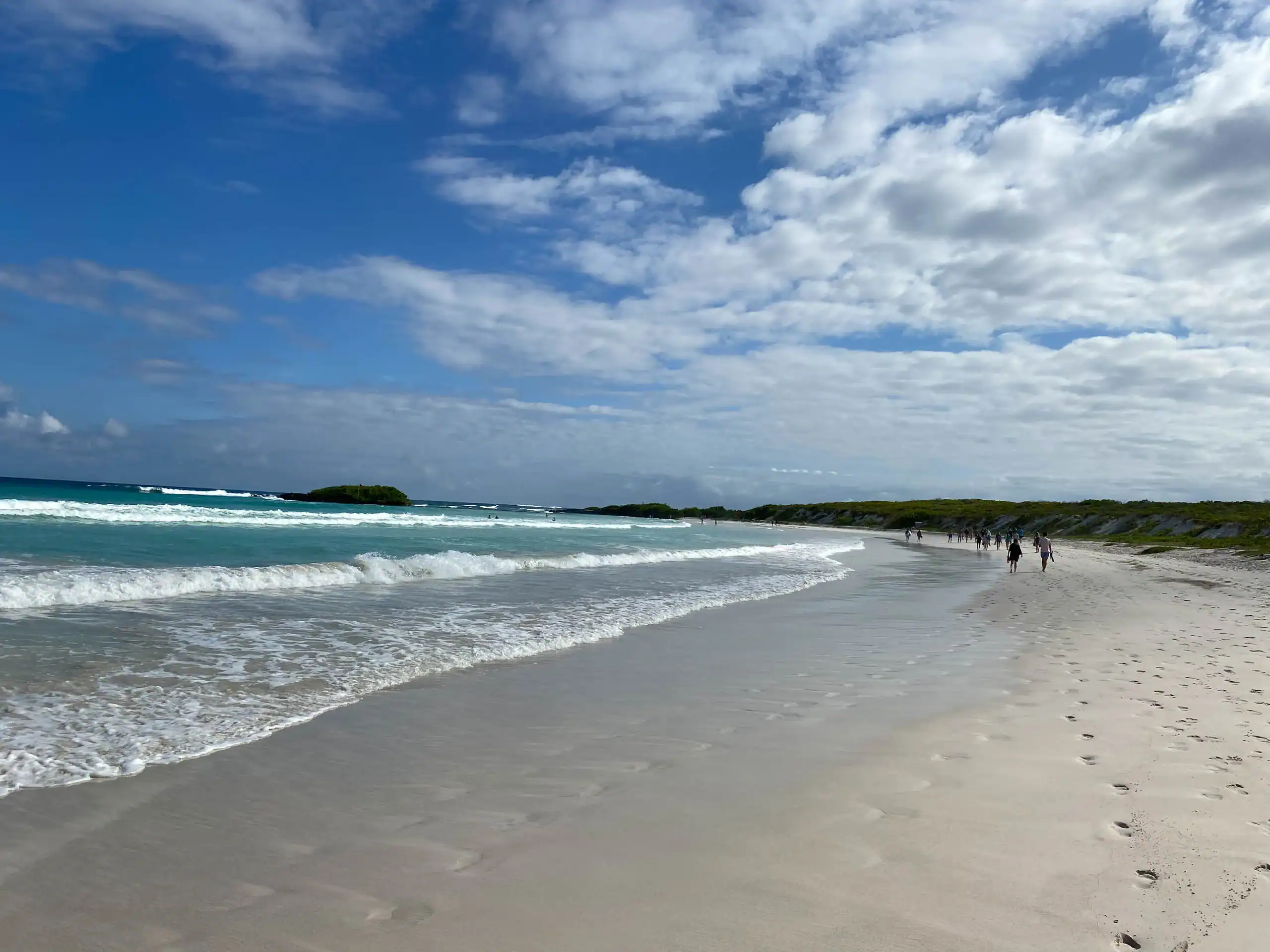 Sandy beach with gentle waves under a partly cloudy sky. A few people on a conservation trip walk along the shoreline, and footprints are visible in the sand.