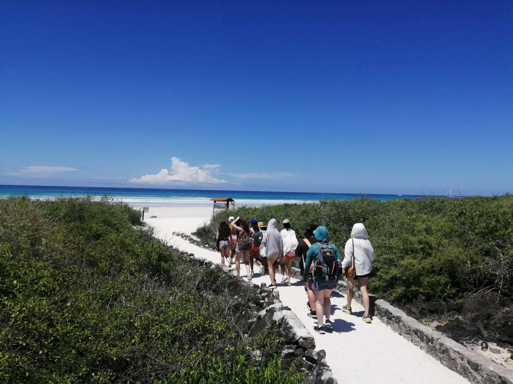 A group of people walk down a sandy path toward a beach under a clear blue sky, surrounded by greenery.