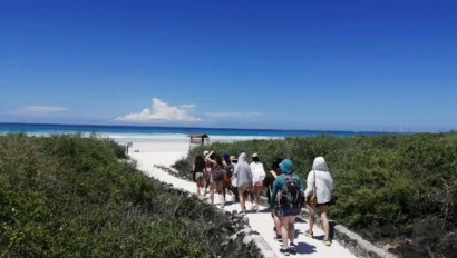 A group of people walk down a sandy path toward a beach under a clear blue sky, surrounded by greenery.
