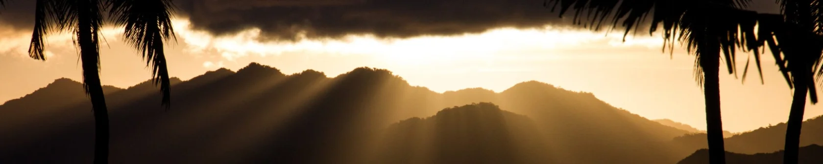 Silhouetted mountains with sun rays breaking through clouds, framed by palm trees.
