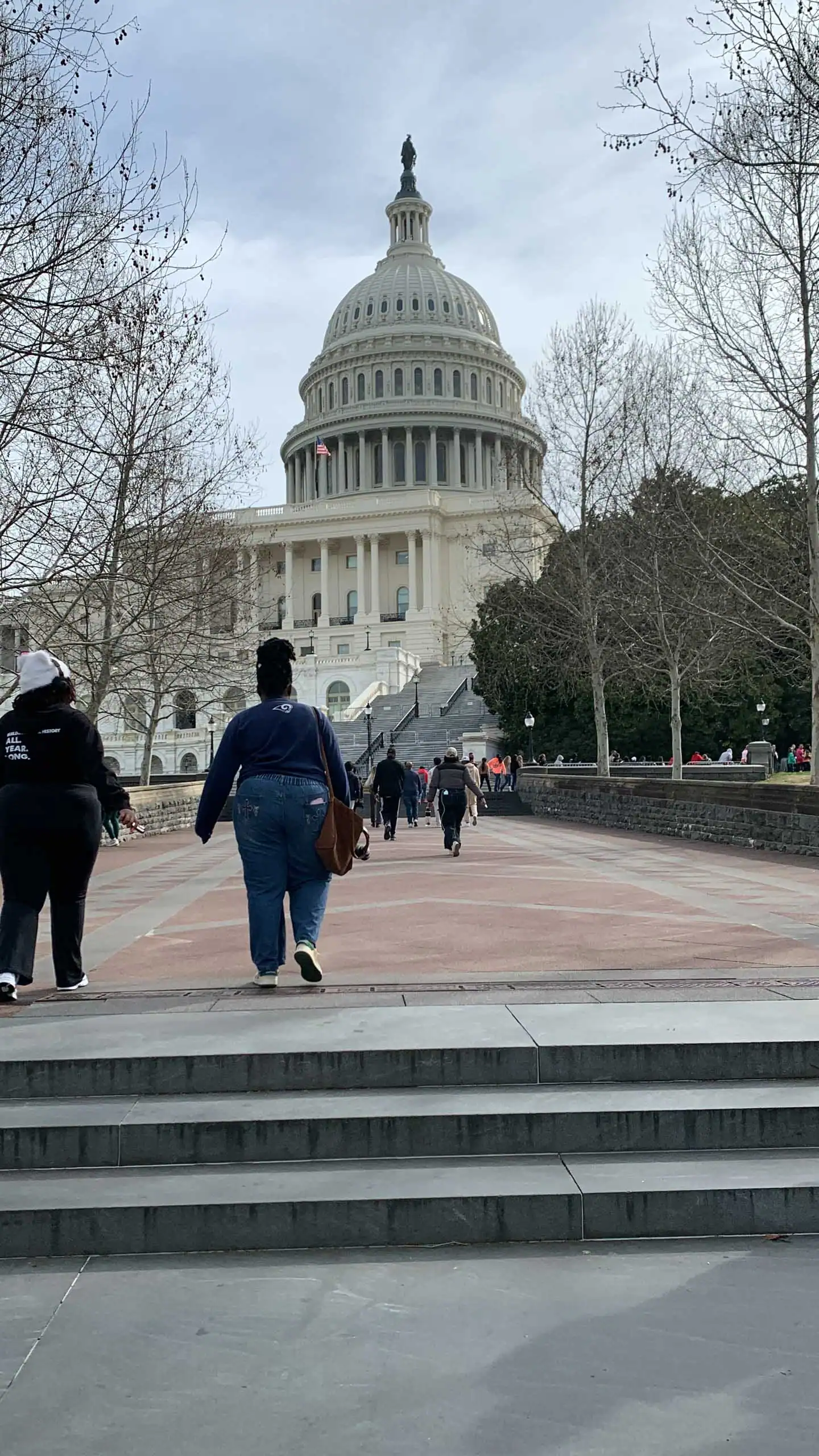 People participating in an American history travel program walk toward the United States Capitol building on a cloudy day, surrounded by leafless trees.
