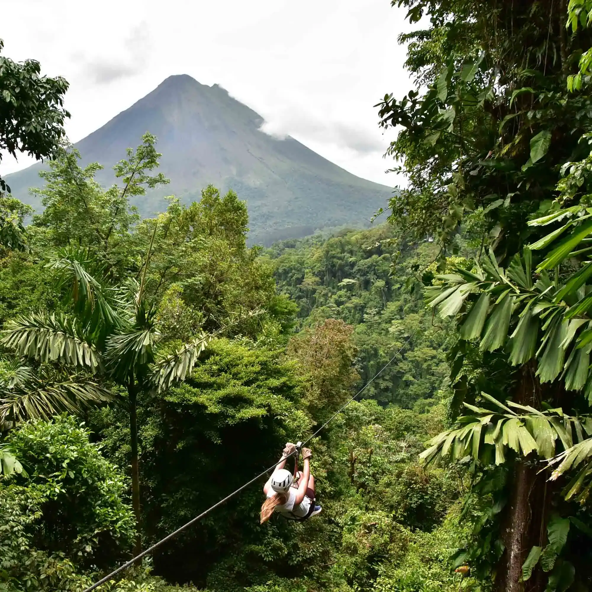 A person zip-lining through lush green forest with a large conical mountain in the background.