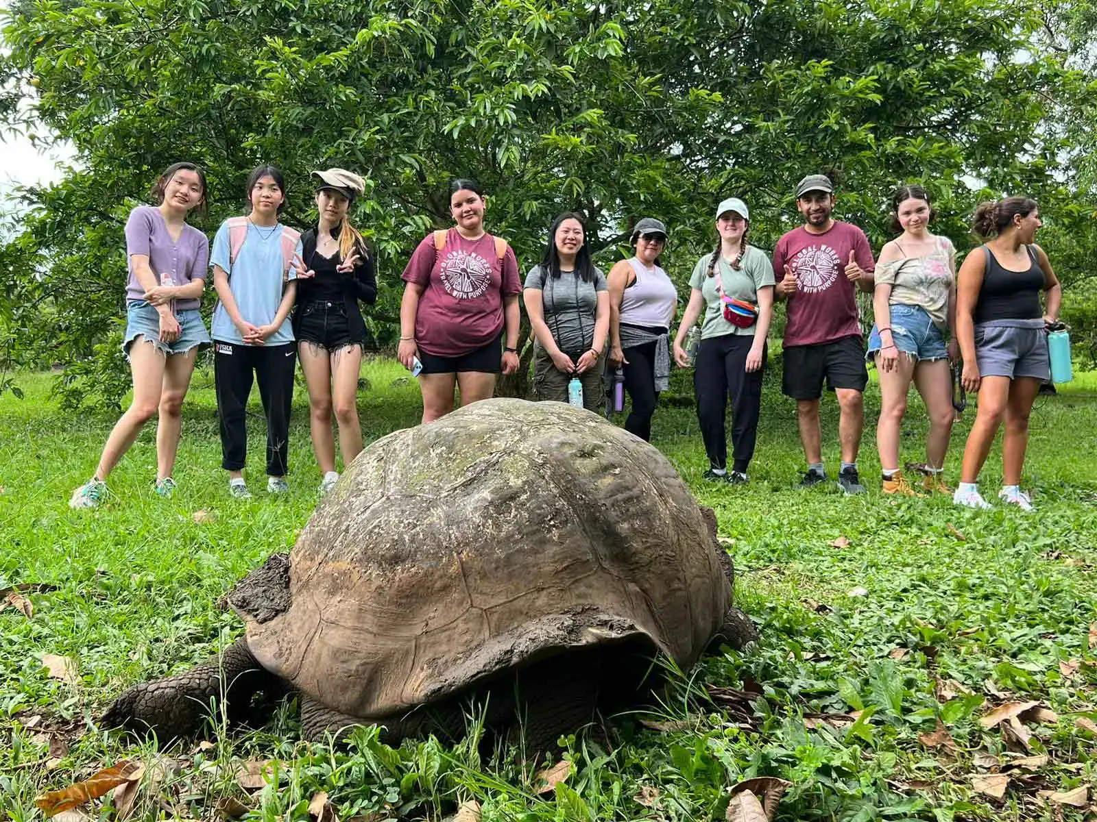 A group of people stands in a line outdoors behind a large tortoise on grass, with trees in the background, during Ecuador student travel.