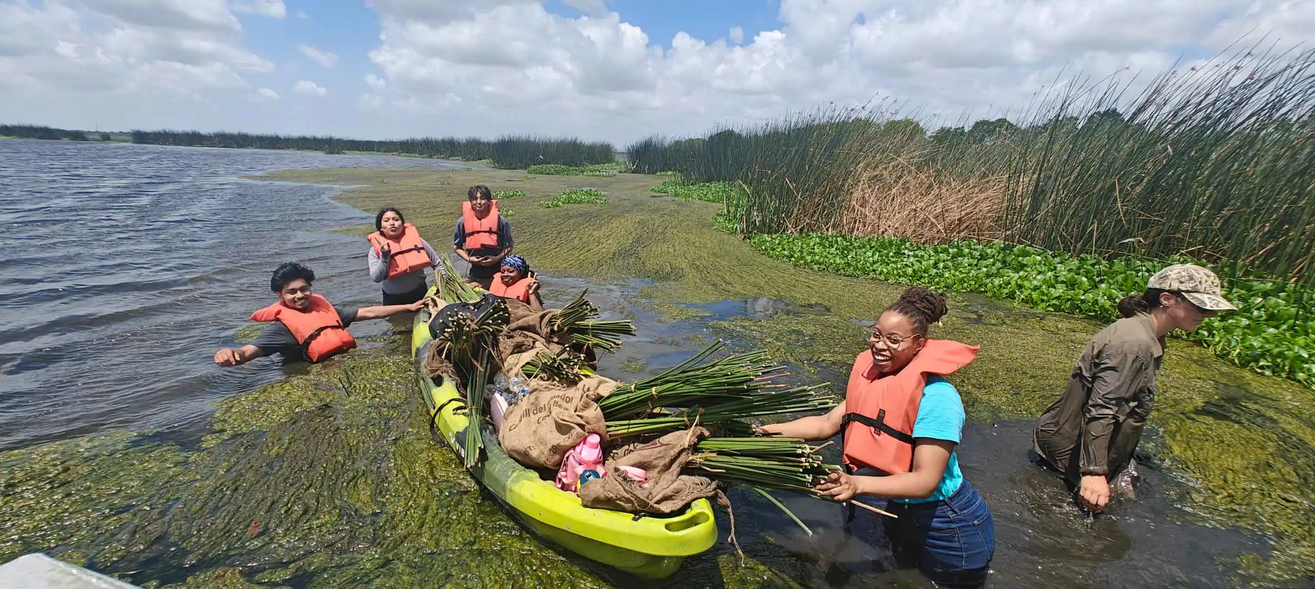 Five students in life jackets, possibly on USA school trips, gather aquatic plants and load them into a kayak while standing in shallow, vegetation-filled water under a partly cloudy sky.