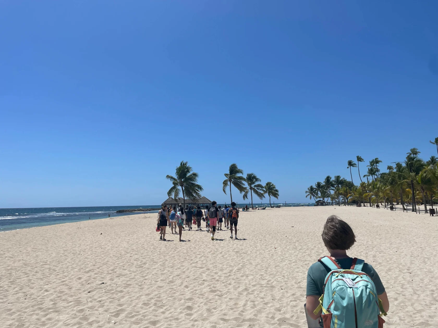 A group of people walk toward palm trees on a sunny beach with clear blue skies. A person with a backpack walks in the foreground.