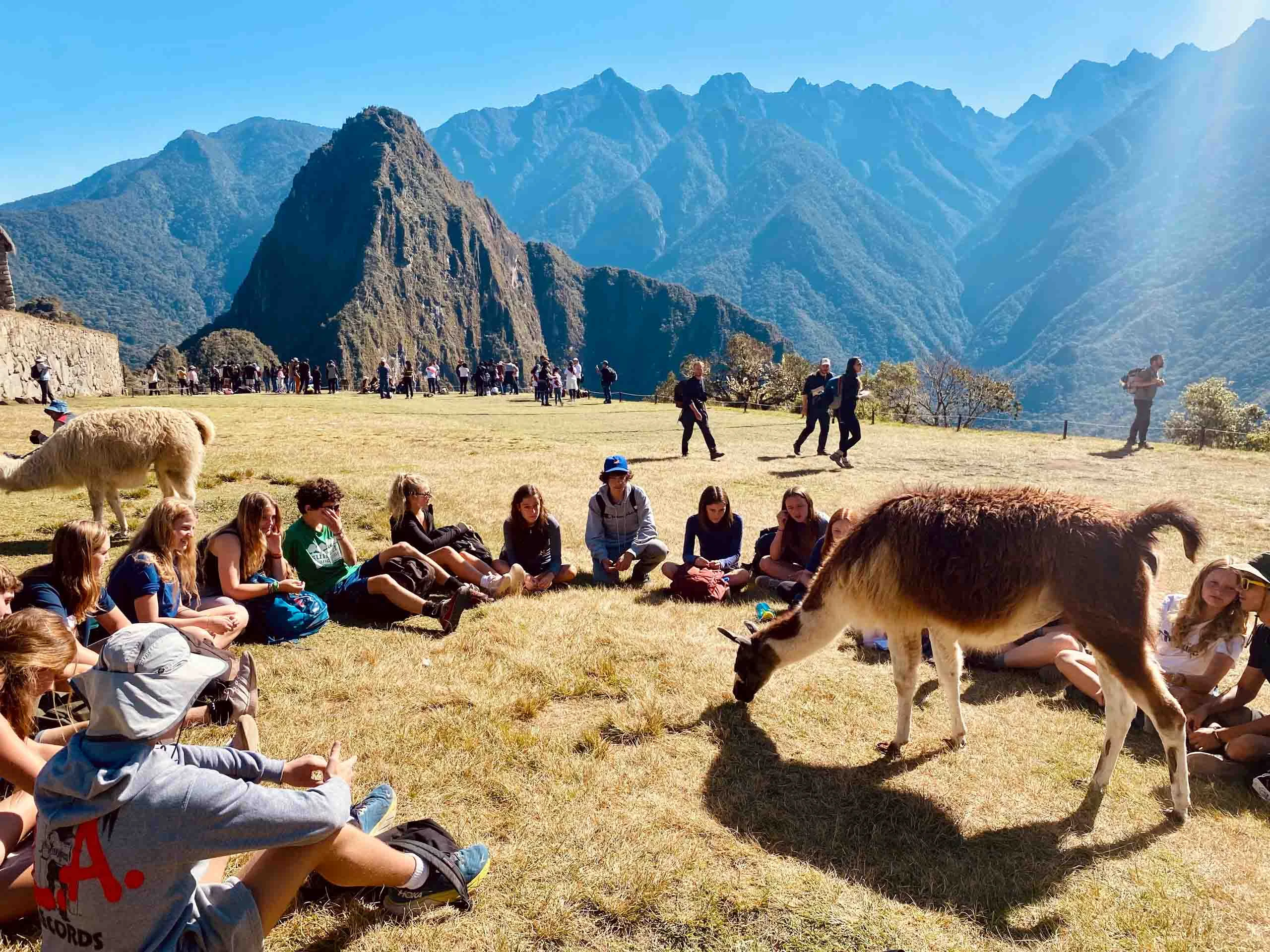 A group of people sitting in a circle on grass with llamas nearby, surrounded by mountains under a clear blue sky on a trip that is more than a teen tour.