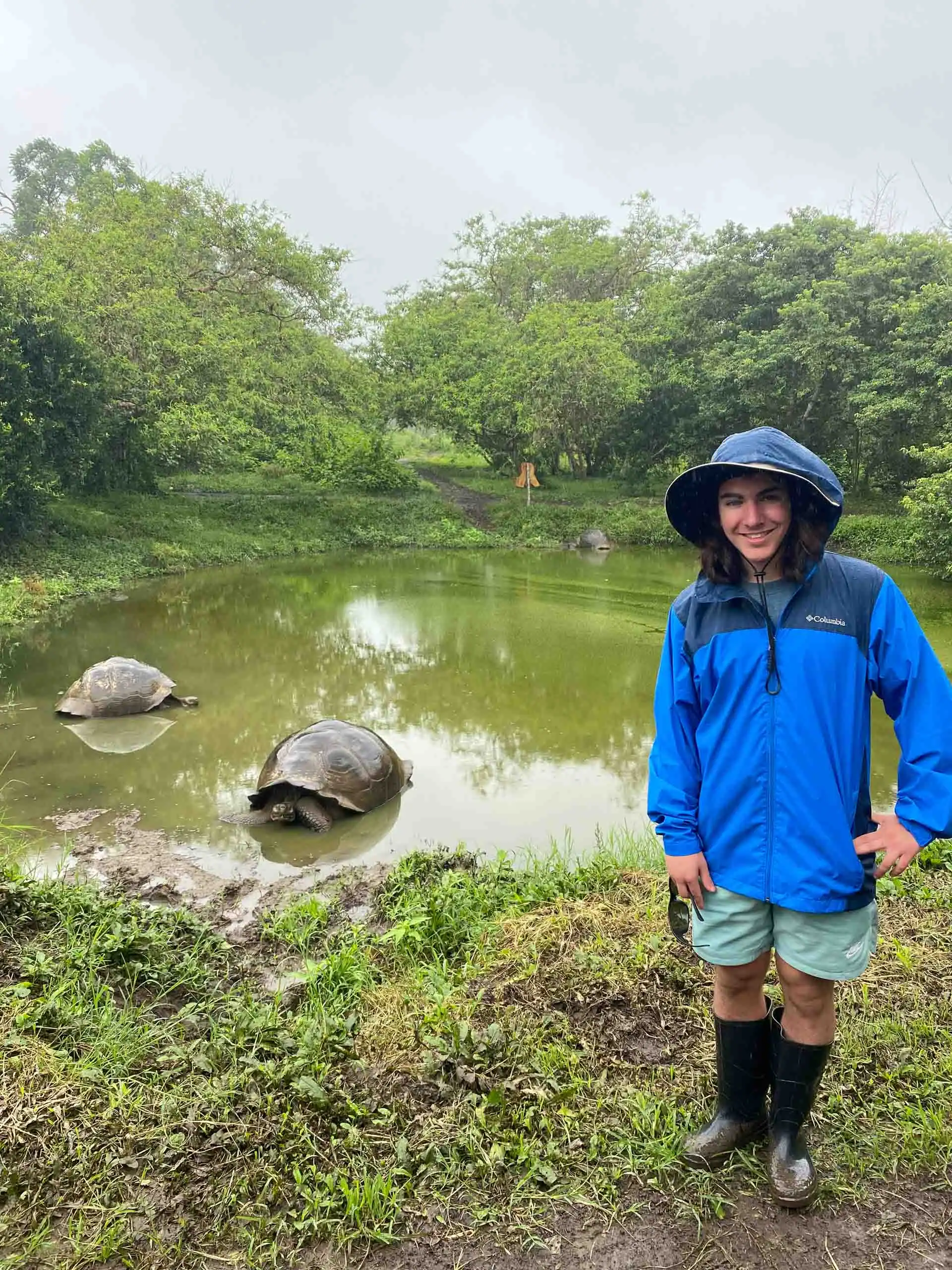 A person in a blue rain jacket and boots stands by a pond with two large tortoises, surrounded by lush greenery on a conservation trip.