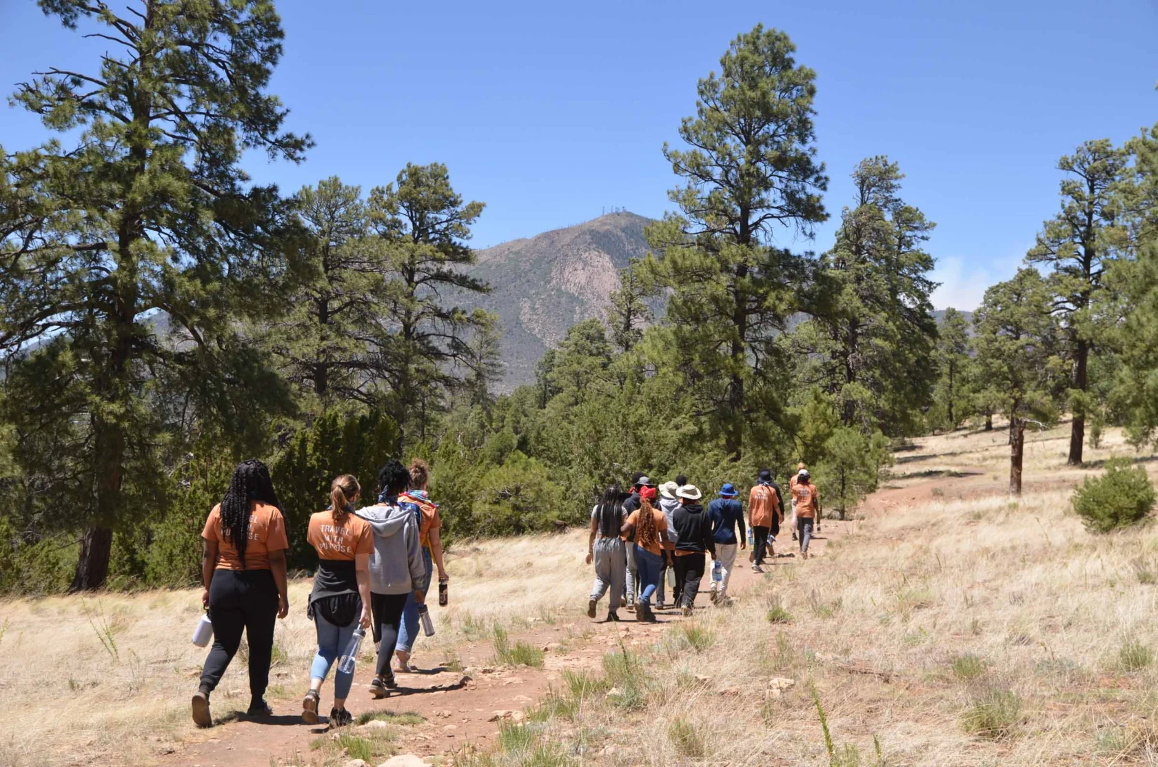 A group of people hiking on a trail through a grassy area with tall trees and a mountain in the background.