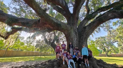 A group of people sits on the roots of a large, sprawling tree in a grassy area with sunlight filtering through the branches.