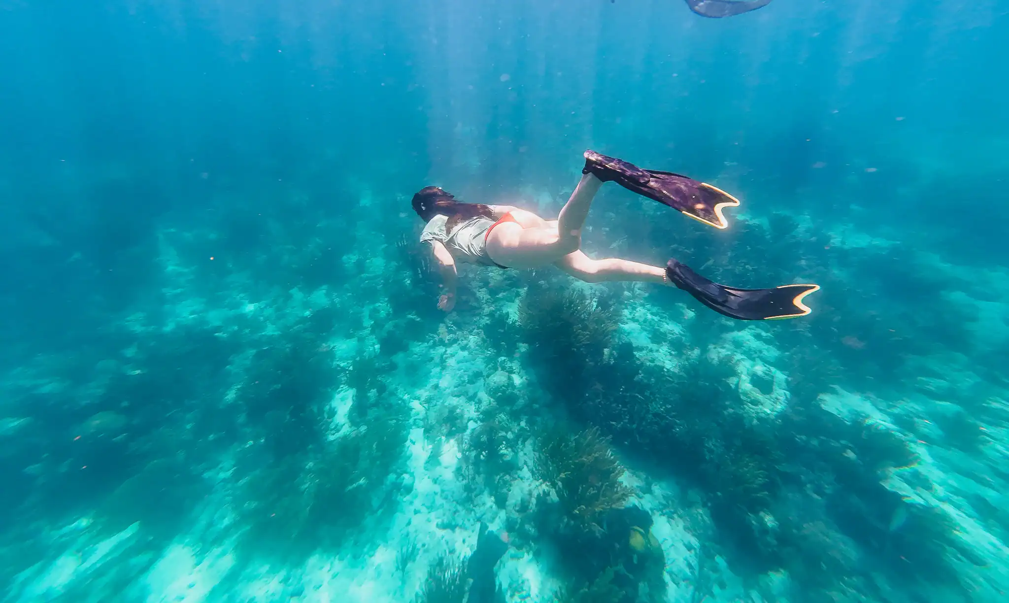 Person snorkeling underwater with fins, swimming above a coral reef in clear blue water.