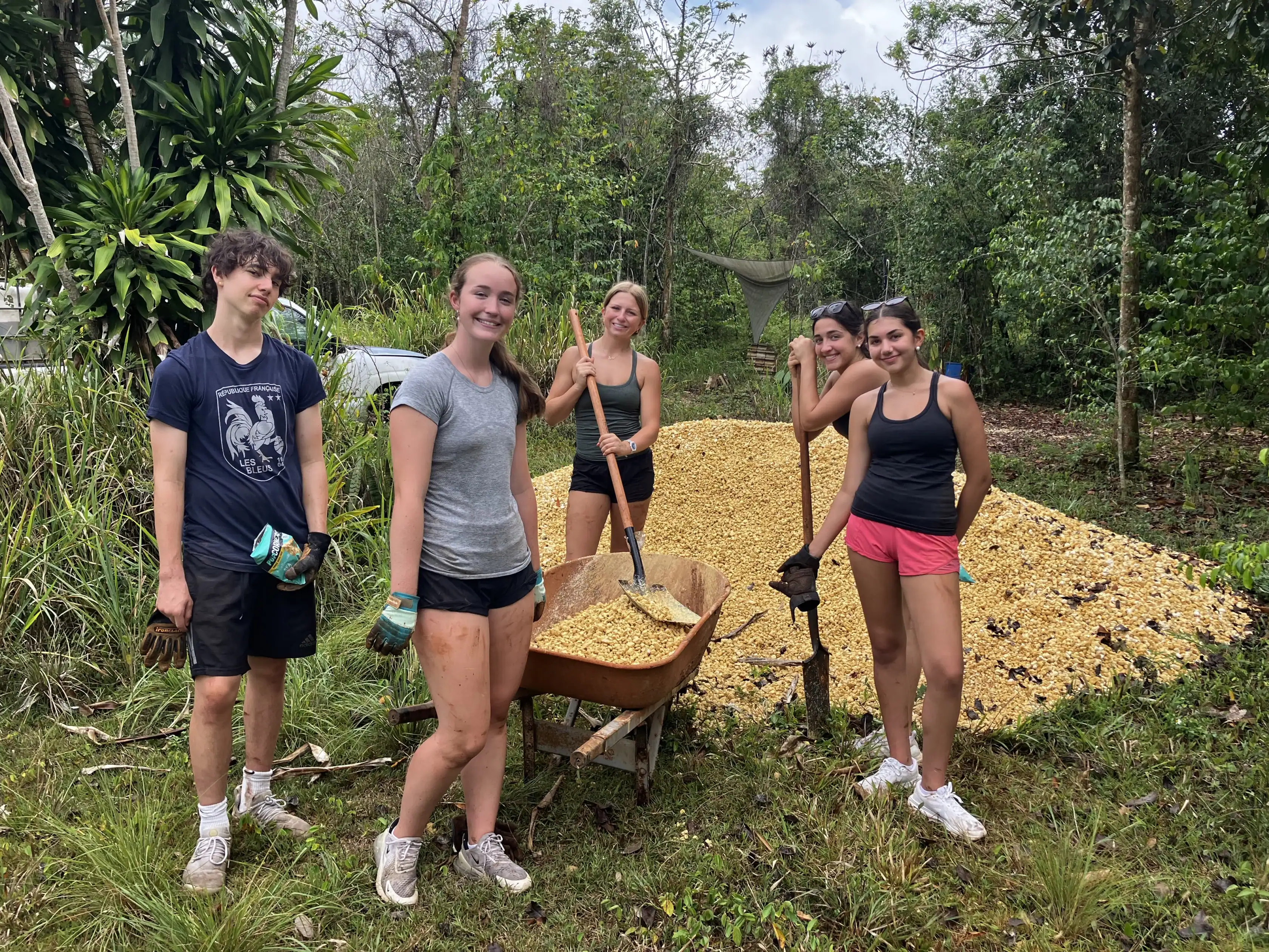 Five people stand outdoors in front of a pile of yellow corn, holding tools and a wheelbarrow, surrounded by dense greenery.