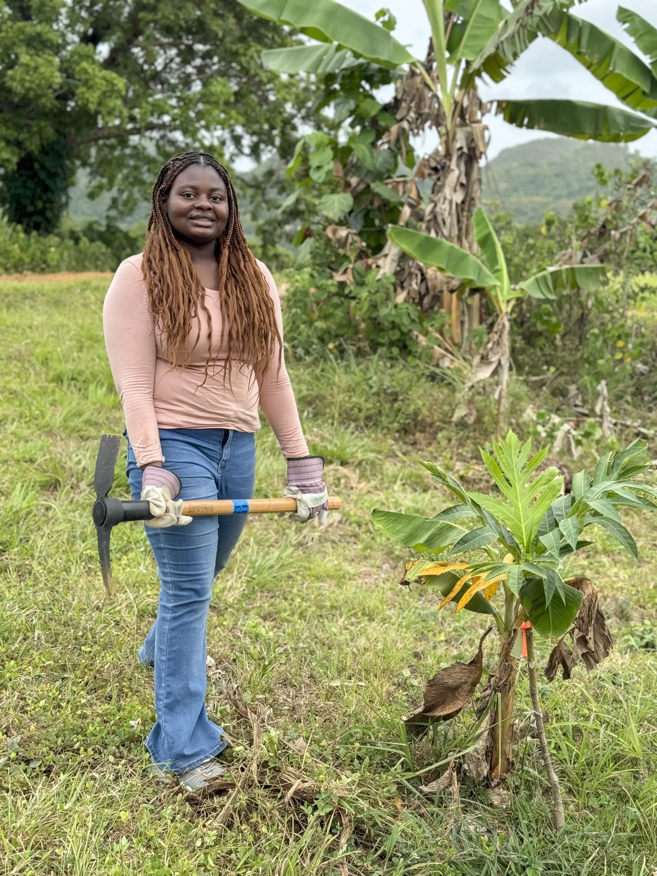 A woman stands on grass holding a pickaxe next to a small tree, with banana plants and hills in the background.