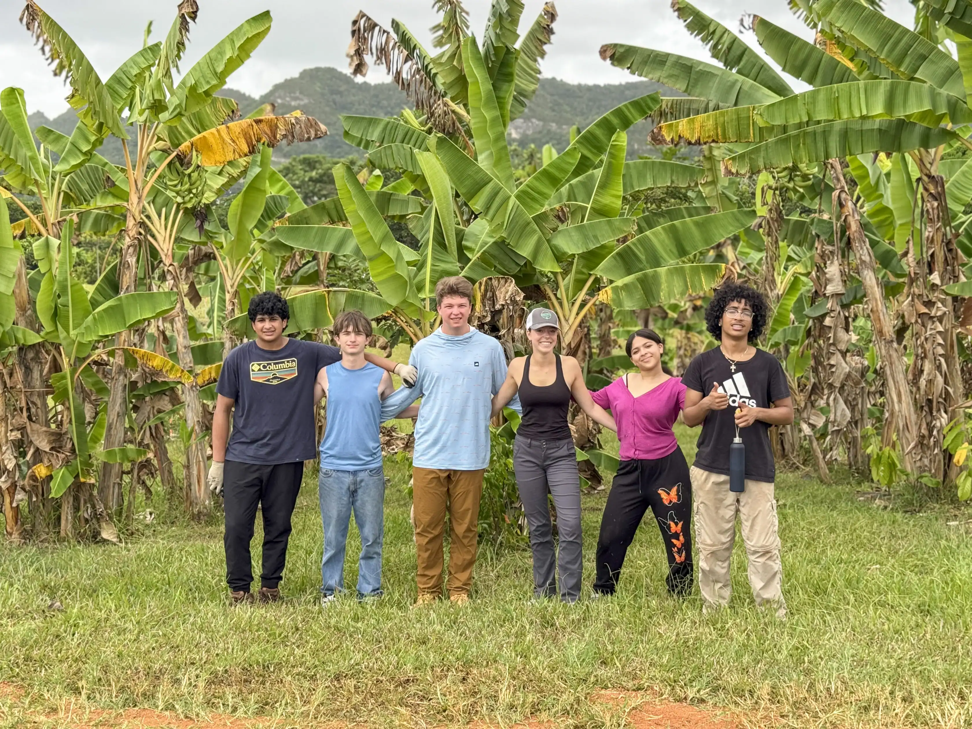 Six people stand side by side in front of a banana grove, holding hands and smiling, with green grass and distant hills in the background.