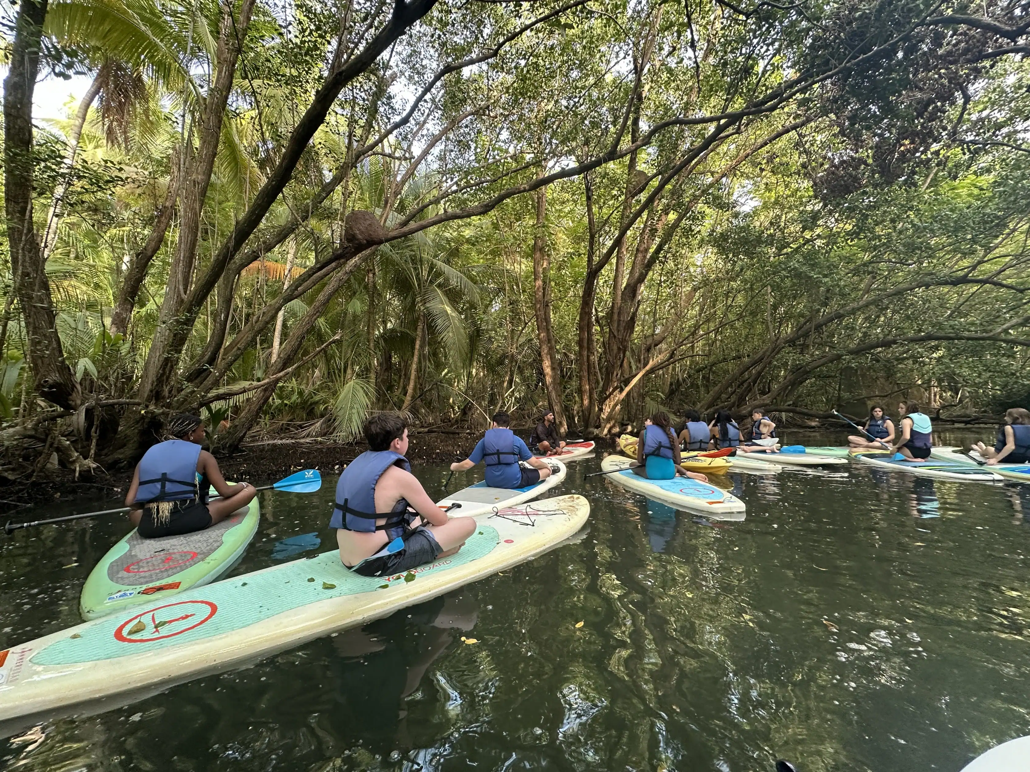 A group of people wearing life vests sit on paddleboards in calm water surrounded by dense, green trees in a tropical setting.