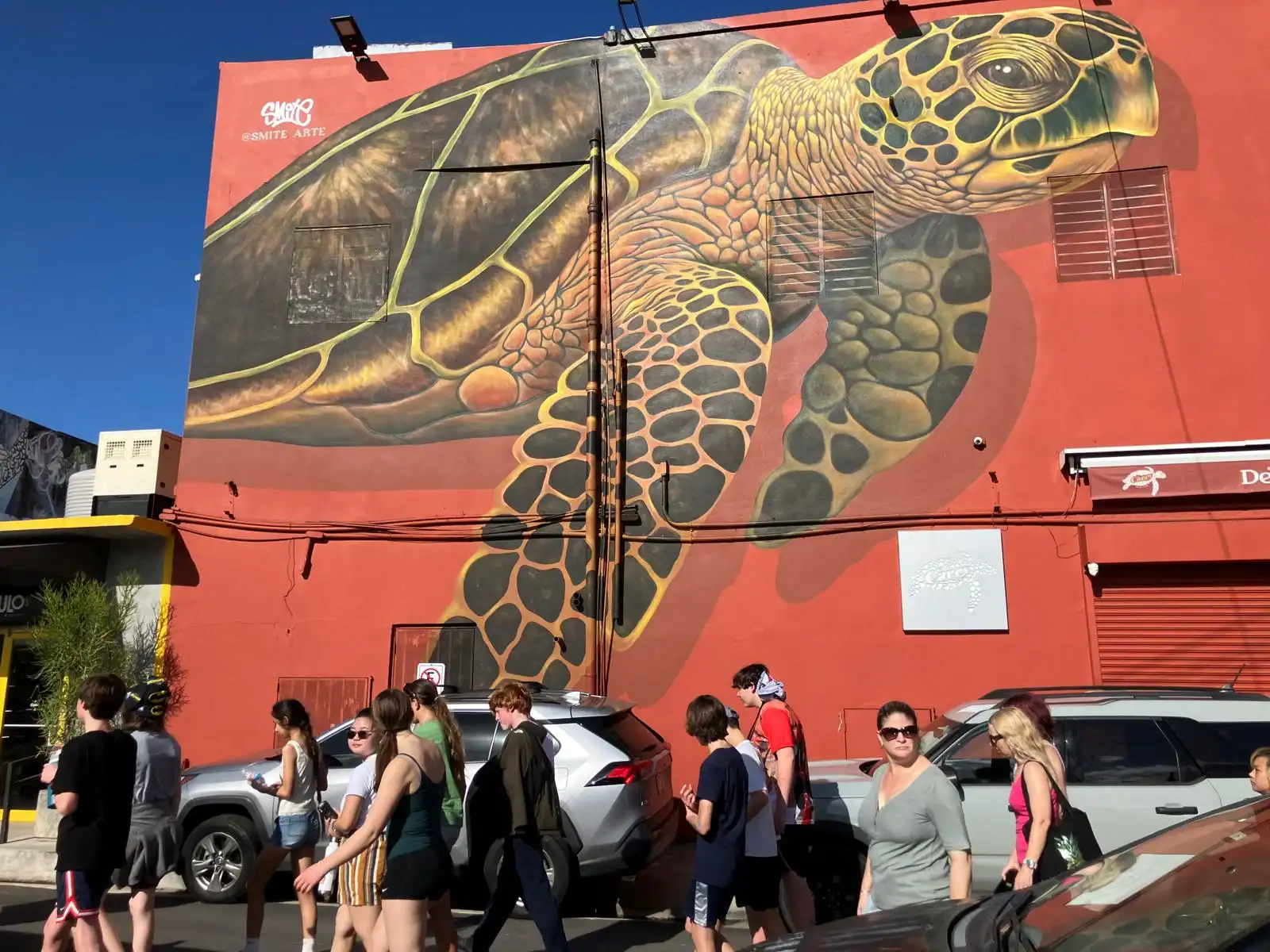 A large sea turtle mural is painted on a red building wall above parked cars, with people walking on the sidewalk below.