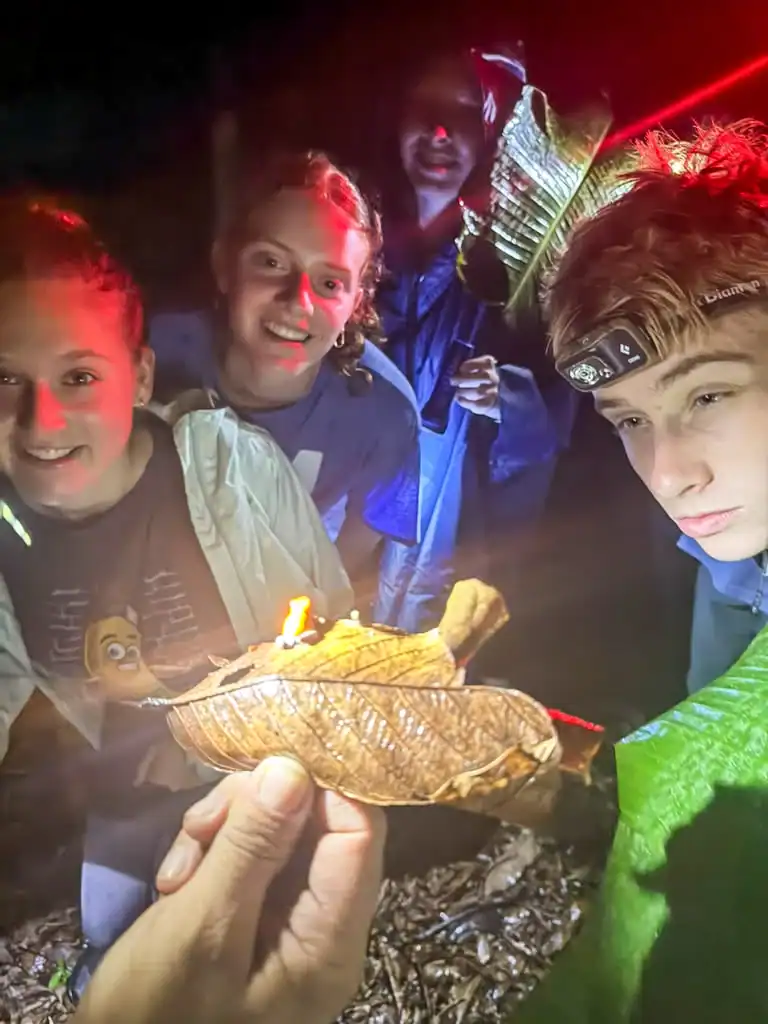 Four people observe a hand holding large dry leaves with an insect, illuminated by a flashlight, in a dark outdoor setting.