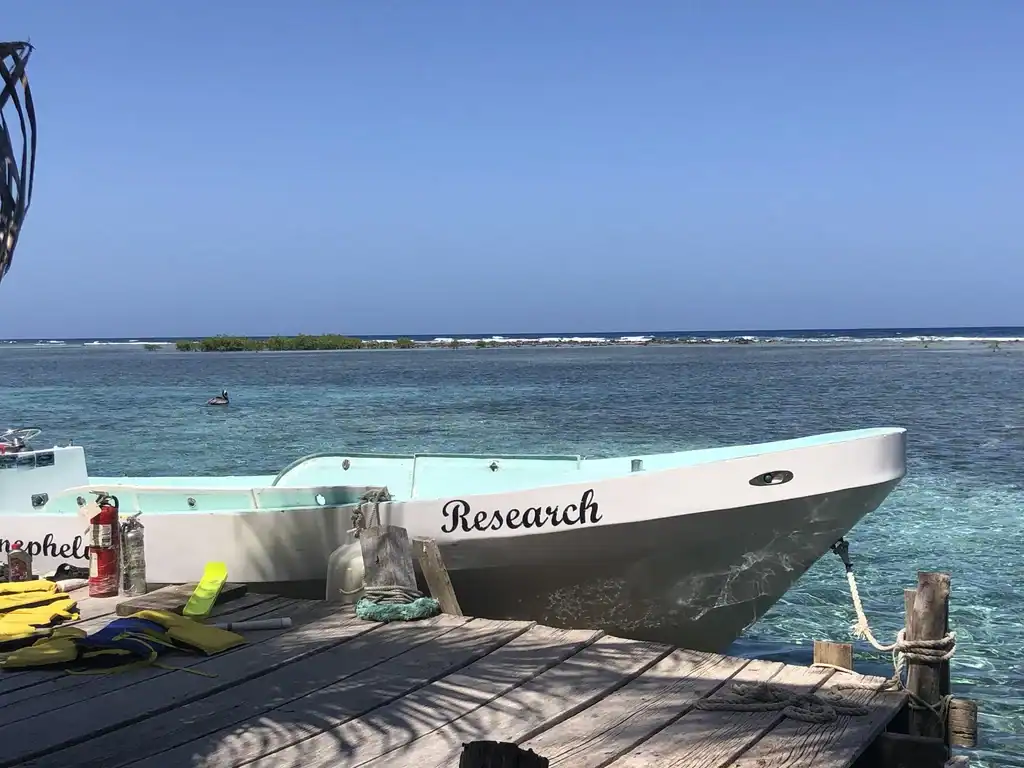 A white boat named “Research” is docked at a wooden pier with life vests, snorkel gear, and a fire extinguisher nearby. Blue ocean and a small island are visible in the background.