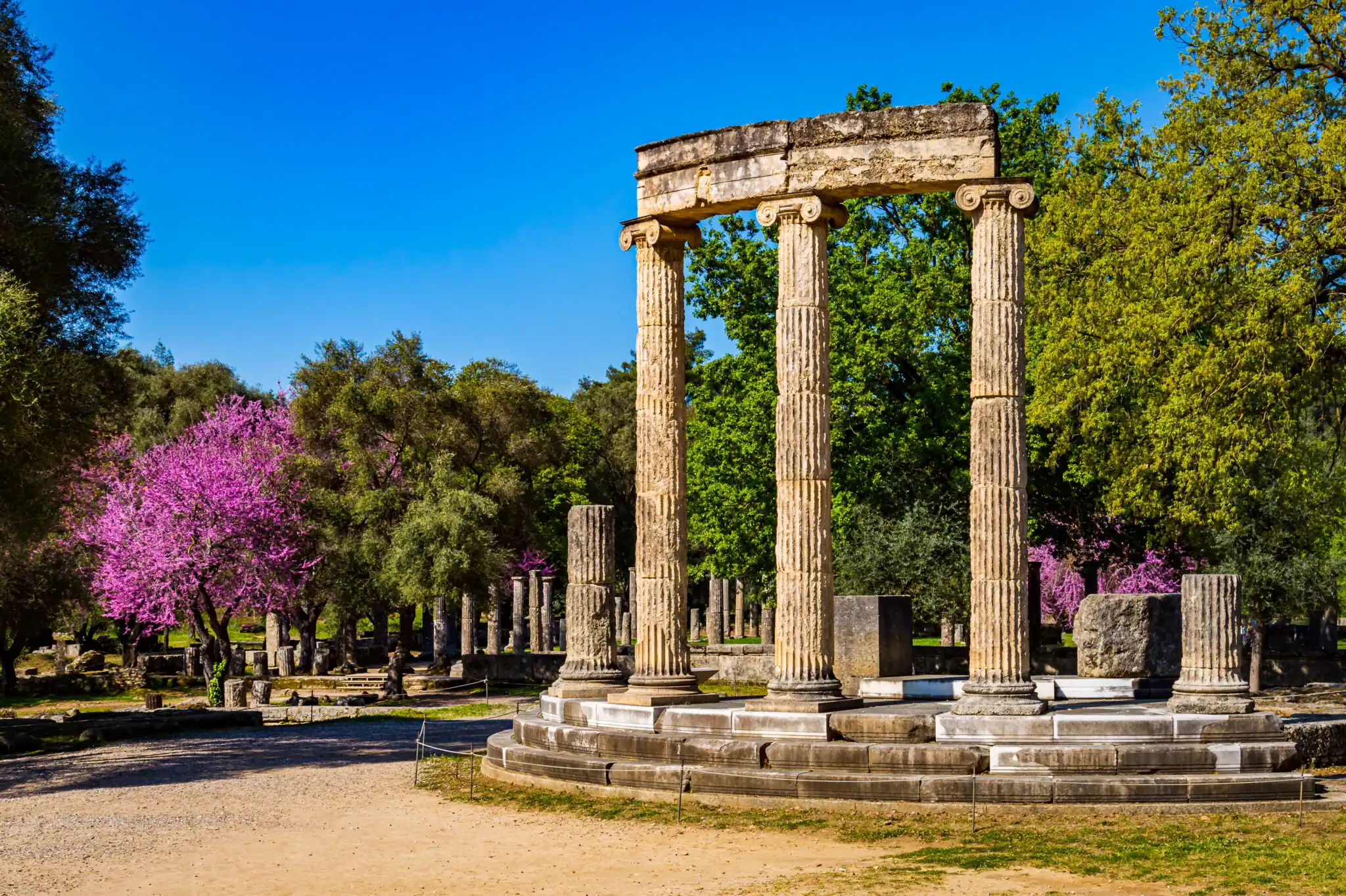 Ancient stone columns of a circular temple ruin stand surrounded by green trees and blooming pink flowers under a clear blue sky.