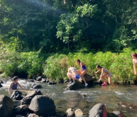 Six people wade and climb over rocks in a shallow stream surrounded by dense green vegetation and sunlight.
