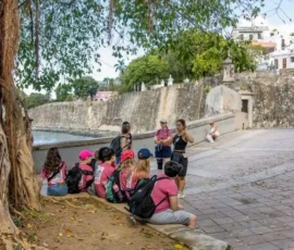 A group of people, most wearing pink shirts and backpacks, sit and listen to a guide near a large tree and stone wall in an outdoor urban area.