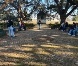 People are sitting and standing on a brick pathway under large trees in a park-like setting, with sunlight filtering through the branches.
