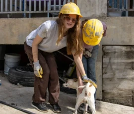 Two people wearing construction helmets and gloves pet a small white dog outside a building with concrete pillars.