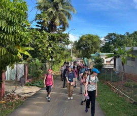 A group of people walks down a paved road lined with trees and houses on a sunny day.