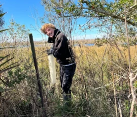 A person wearing gloves and boots stands in tall grass near a fence, holding a cylindrical container, with trees and blue sky in the background.