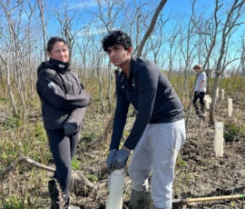 Two people work outdoors planting tree saplings in protective tubes in a muddy, leafless forest area under a clear blue sky.