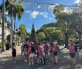 A group of people in pink shirts stand near a decorated Christmas tree in a sunny outdoor plaza with palm trees and holiday lights overhead.