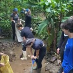 WhatsApp Video 2021-07-01 at 12.29.47 PM WhatsApp Video 2021-07-01 at 12.29.47 PM